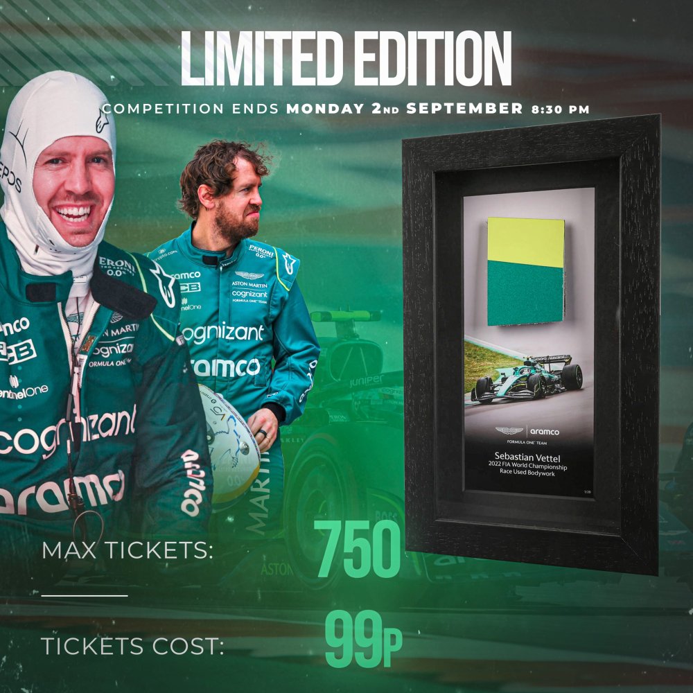 SEBASTIAN VETTEL FRAMED BODYWORK!