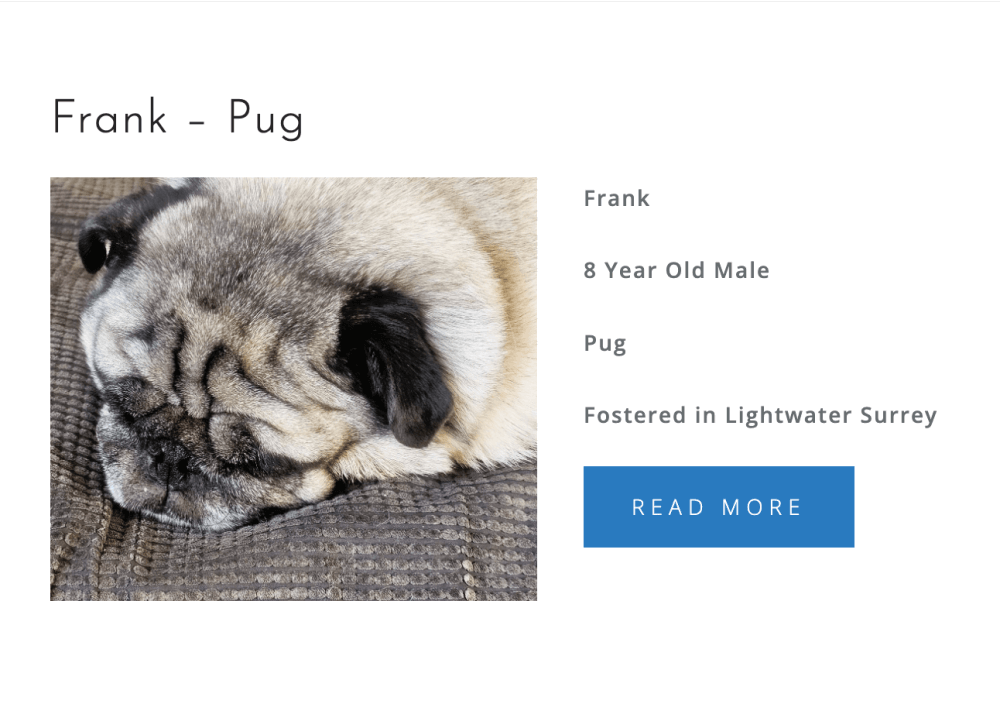 OSCAR PUPASTRI'S CHARITY DRIVE! 100% PROFITS DONATED TO PRO DOGS DIRECT! - Image 6