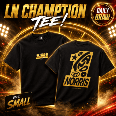 99P: LN CHAMPION BOXY TEE! SIZE SMALL!